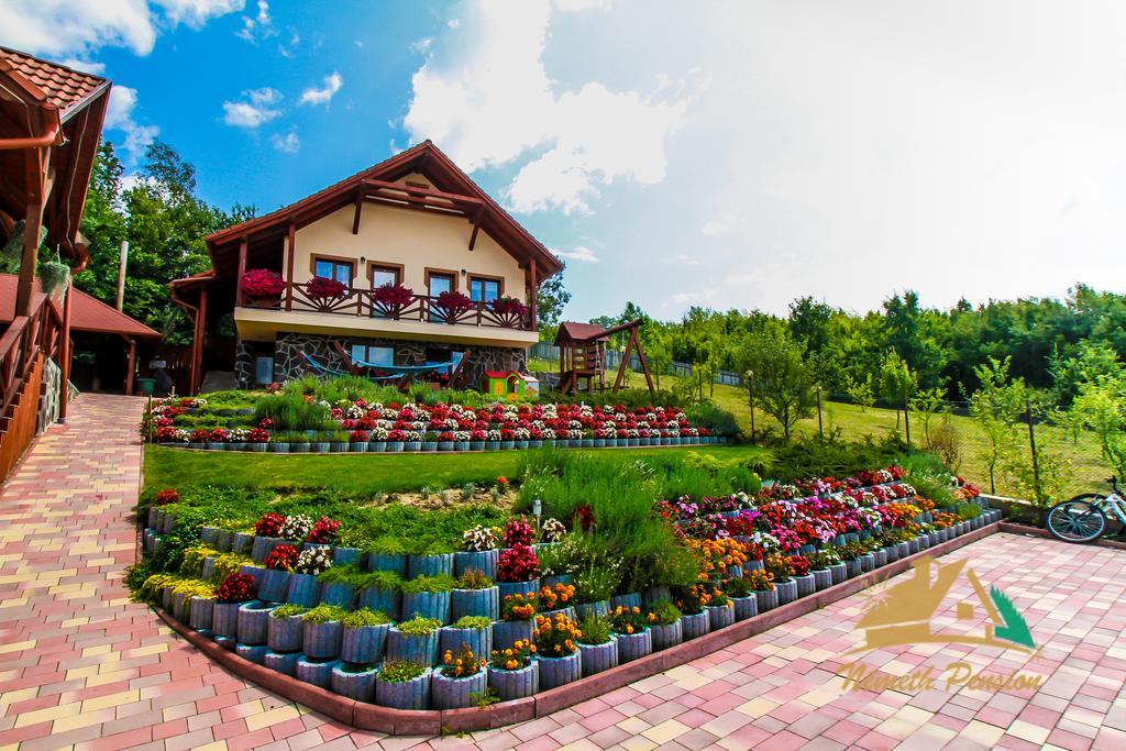 Nemeth Resort Sovata Bagian luar foto